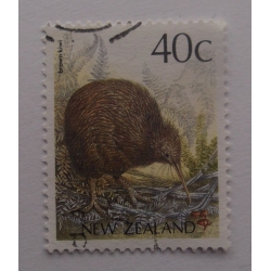 Brown Kiwi (Apteryx australis)
